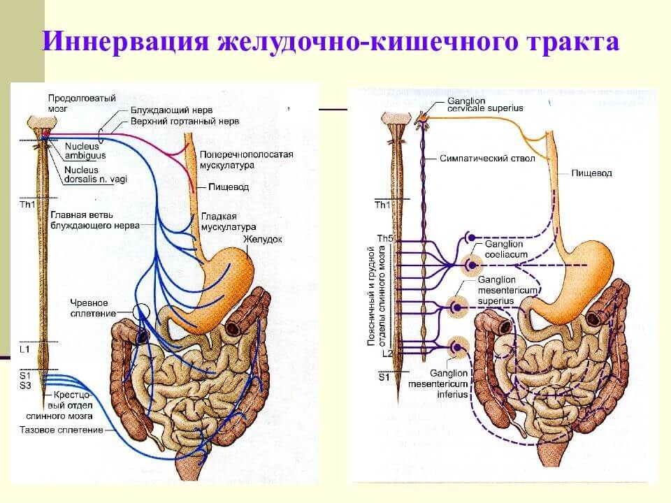 Схема работы трансанальной ирригации TAI
